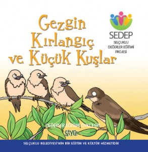 07_SYG_gezginKirlangic-kapak-1